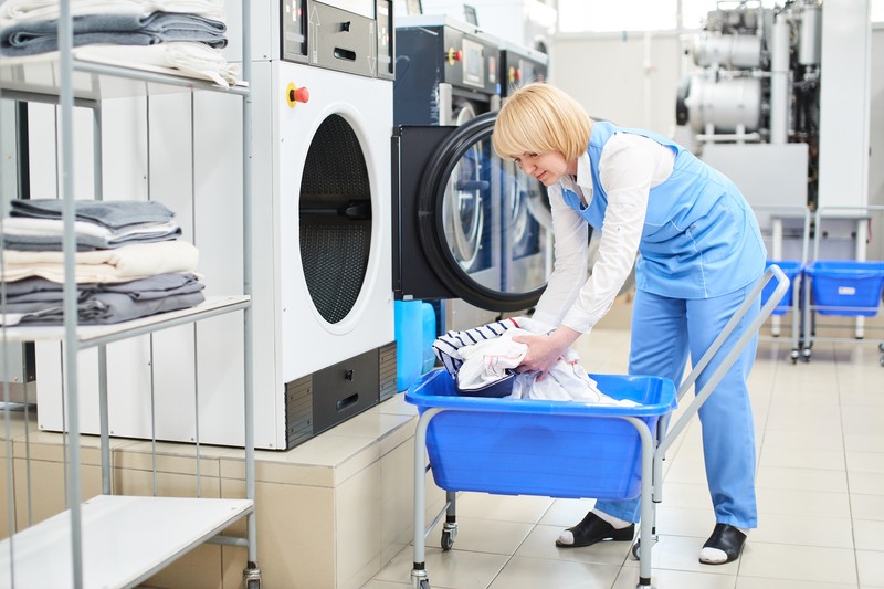 Veterinary Clinics And Grooming Salons: Why Reliable Linen Laundering Matters For Animal Care